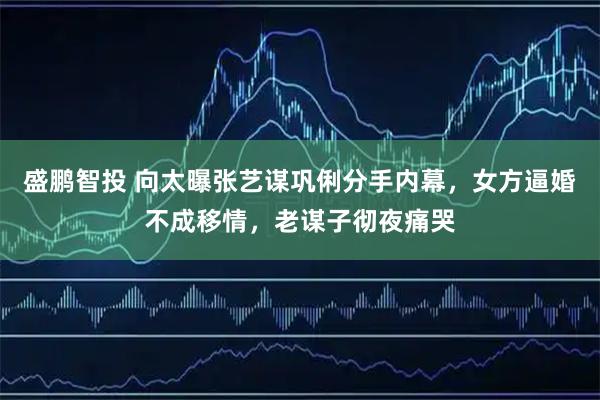 盛鹏智投 向太曝张艺谋巩俐分手内幕,女方逼婚不成移情,老谋子彻夜痛哭