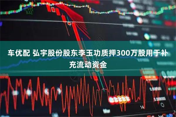 车优配 弘宇股份股东李玉功质押300万股用于补充流动资金