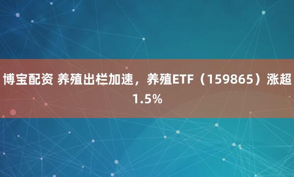博宝配资 养殖出栏加速，养殖ETF（159865）涨超1.5%
