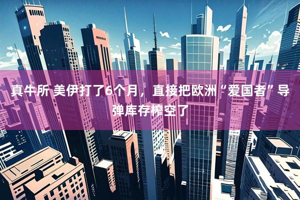 真牛所 美伊打了6个月，直接把欧洲“爱国者”导弹库存榨空了